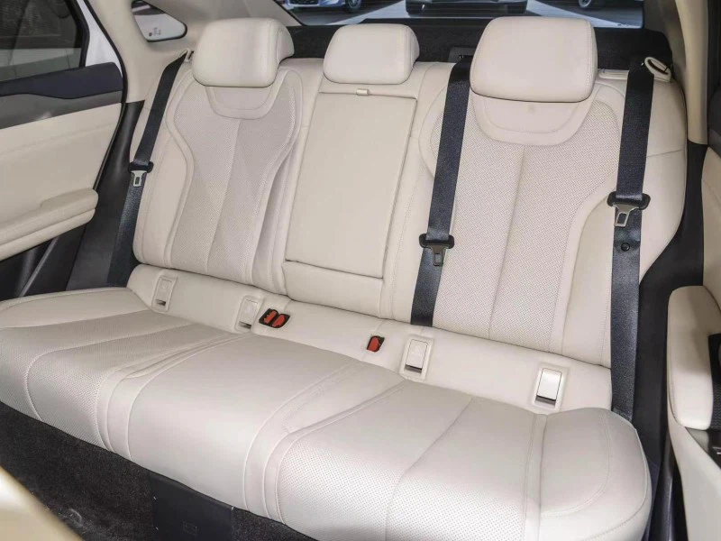 BYD QIN L EV INTERIOR 3 BYD QIN L EV INTERIOR 3